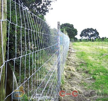 養殖場/養雞場護欄網 選擇、價格與專業廠家指南